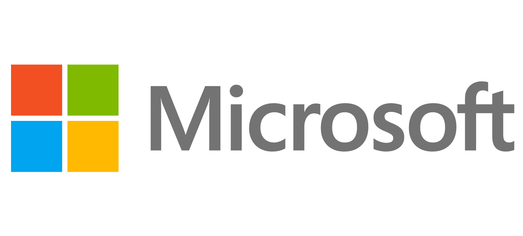 Microsoft partner